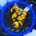ІТ Bee 🐝 UA - перша техно бджола