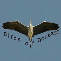 Birds of Donbass (EN)