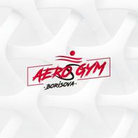 Aero Gym Borisova