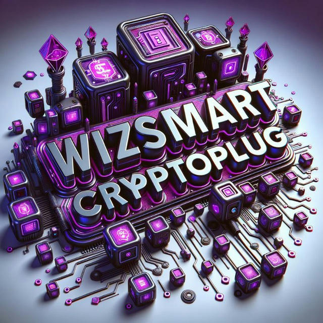 Wizsmart Cryptoplug
