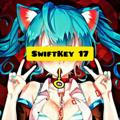 SwiftKey 17