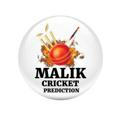BIG BASH PREDICTIONS (MALIK)