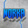 Ответы на вопросы | Norka private apk