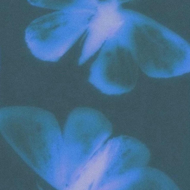 𝑙𝑎 𝑓𝑎𝑟𝑓𝑎𝑙𝑎🦋