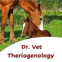 Dr.Vet theriogenology (4th year)