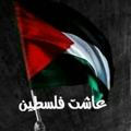 Freedom for Palestine