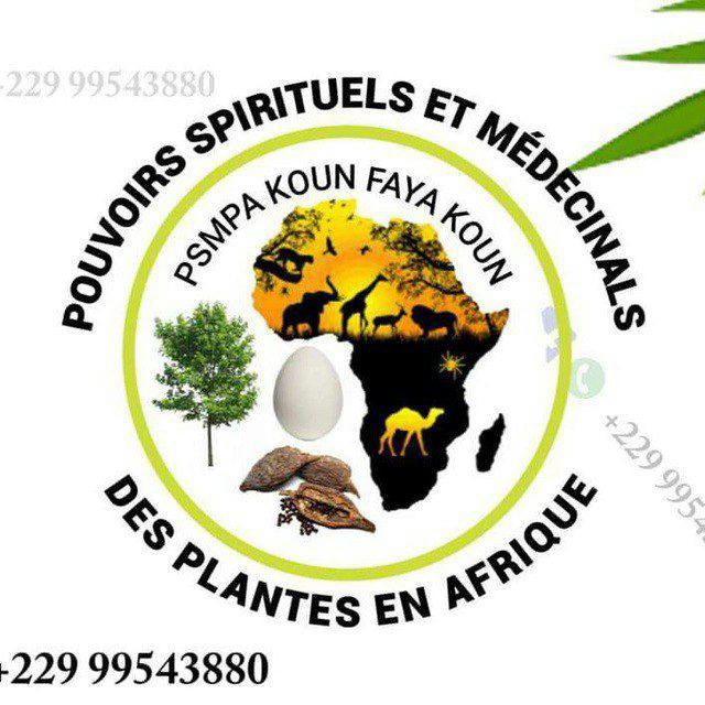 POUVOIRS SPIRITUELS ET MÉDECINALES DES PLANTES EN AFRIQUE ☘☘☘🌿