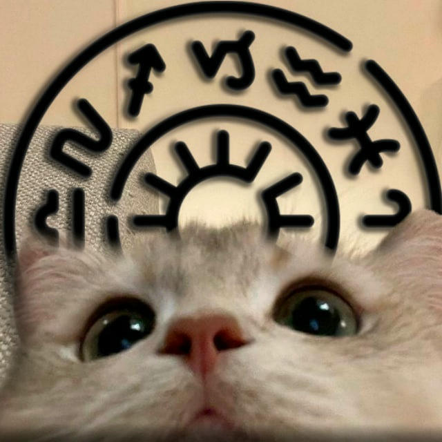 котобачення