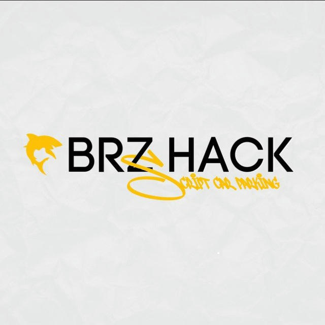 BRZ Hack | Скрипты для кар паркинг 🧪