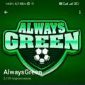Always green Грин Перф