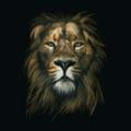Mewati Lions