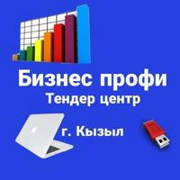 Бизнеспрофи Кызыл