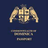 Паспорт | Водительские права - Поставщик 🇺🇦🇷🇺🇵🇱 Техпаспорт | Диплом