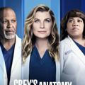 Grey Anatomy Season 19