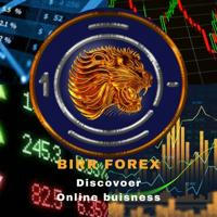 Birr Forex