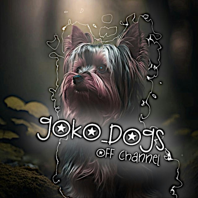 goko_dogs