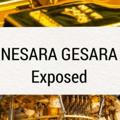 Nesara Gesara EXPOSED