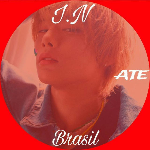 🦊 I.N Brasil - StrayKids - ATE