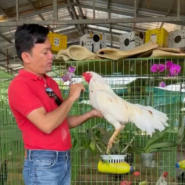 ភ្នំពេញផ្សារដេប៉ូ