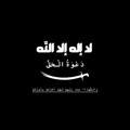 وَالشُّهَدَاءُ عِندَ رَبِّهِمْ لَهُمْ أَجْرُهُمْ وَنُورُهُمْ