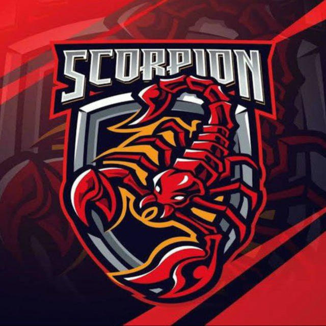 SCORPION BET 🔥💸