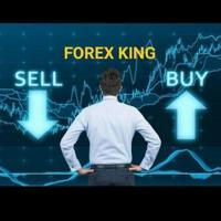 👉 FOREX KING 👈