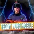 TEDDY PUBG Mobile