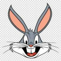 Bugs Bunny Airdrop