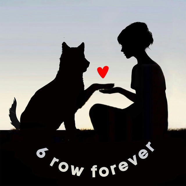 Dogs_forever
