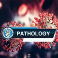 Pathology 38