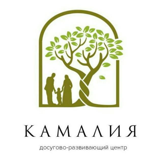 АНО Досугово-развивающий центр "Камалия"