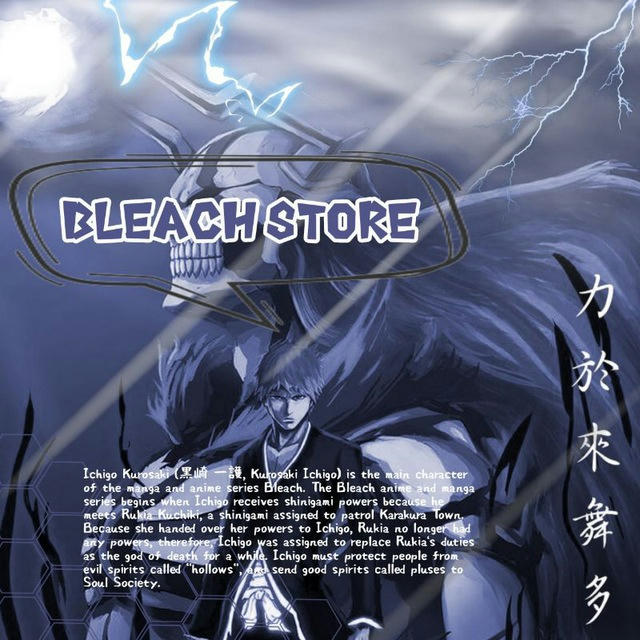 Bleach Store | OPEN.