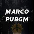 Marco pubgm