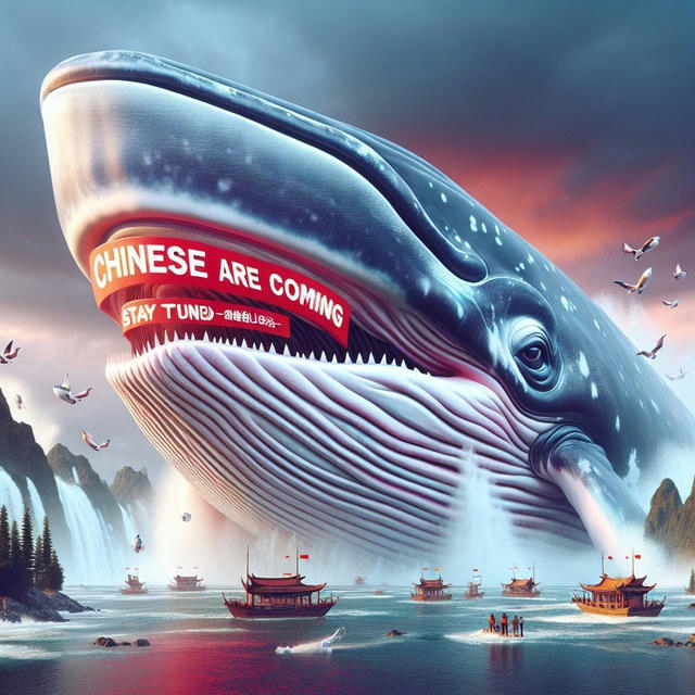 中國🇨🇳鯨魚 🐳 CAPITA CALLS