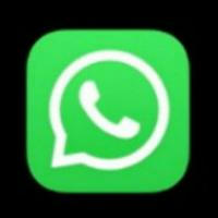 Mb WhatsApp downloads