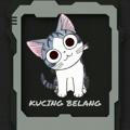 Kucing belang