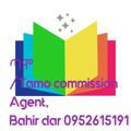 ጣሞ (Tamo commission agent).Bahir Dar 0952615191