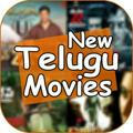 Telugu Movies (2023)