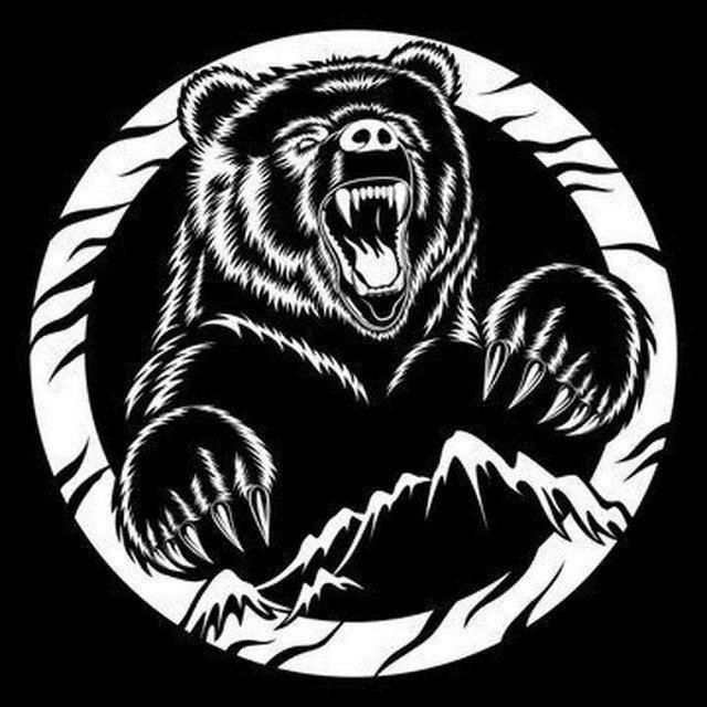 BEAR CRYPTO SIGNALS