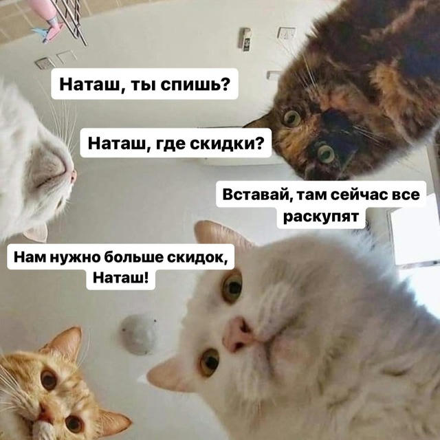 Скидки / Находки