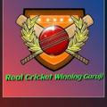 Real Cricket Winning Guruji™️