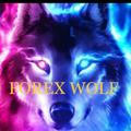 🐼FOREX WOLF 👨‍🦳