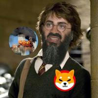 HarryPotterOsamaBinLaden911Inu