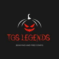 TGS LEGENDS (BGMI BEST CONFIGS)🇮🇳