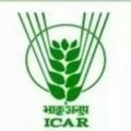 ICAR Toppers