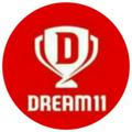 Dream 11 Final team