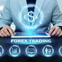 FOREX TRADERS SIGNALS