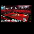 satelitte tunisien