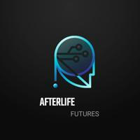 Afterlife Futures