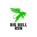 Big Bull Run